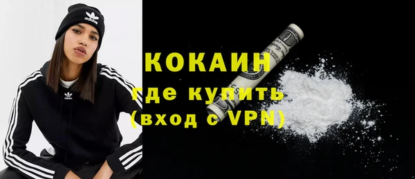 твердый Арсеньев
