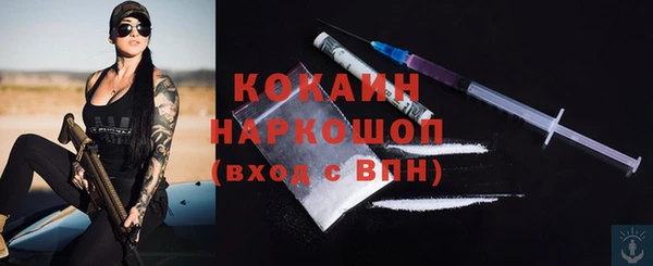 твердый Арсеньев