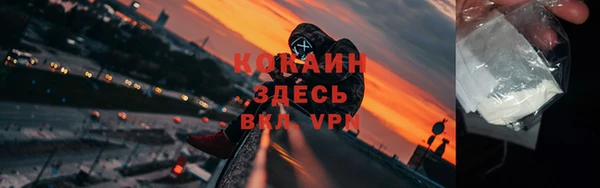 твердый Арсеньев