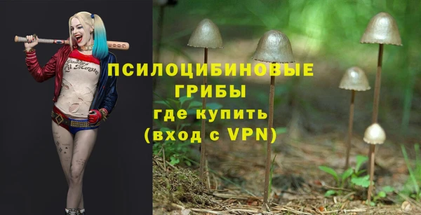 PSILOCYBIN Армянск