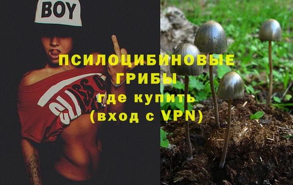 твердый Арсеньев
