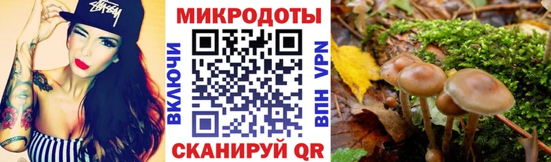 Псилоцибиновые грибы мицелий  Сатка 